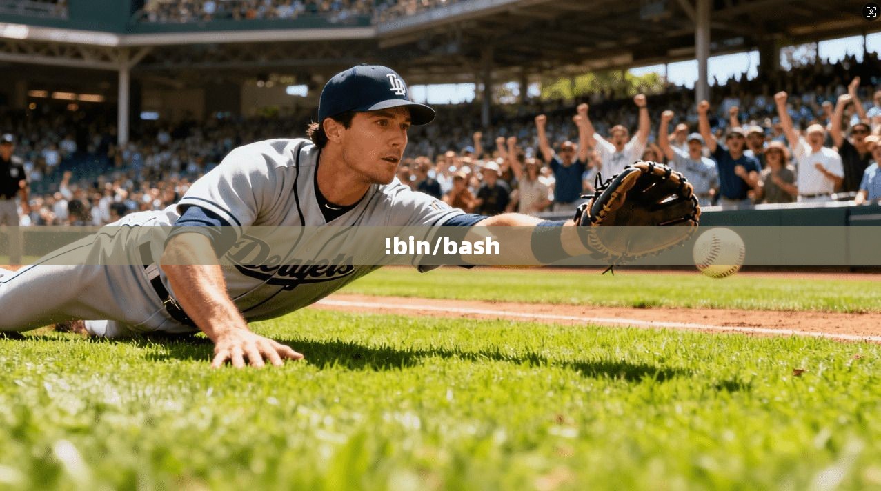 !bin/bash