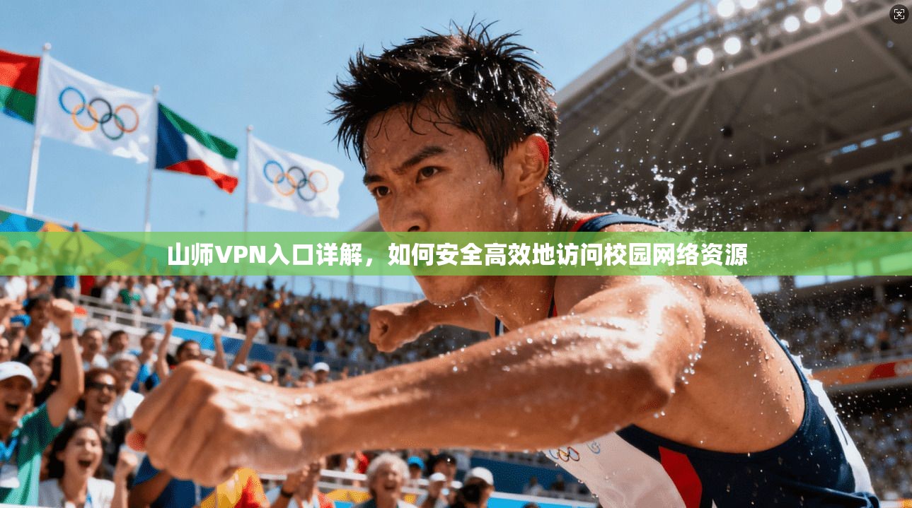 山师VPN入口详解，如何安全高效地访问校园网络资源