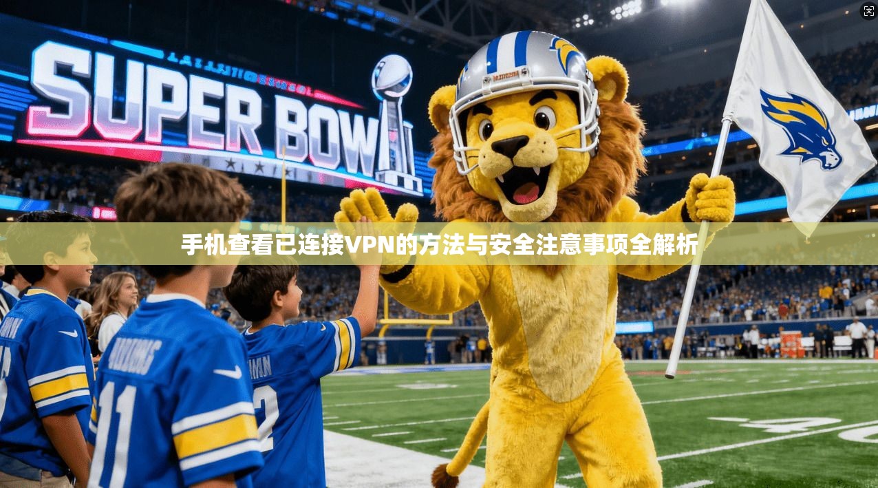 手机查看已连接VPN的方法与安全注意事项全解析