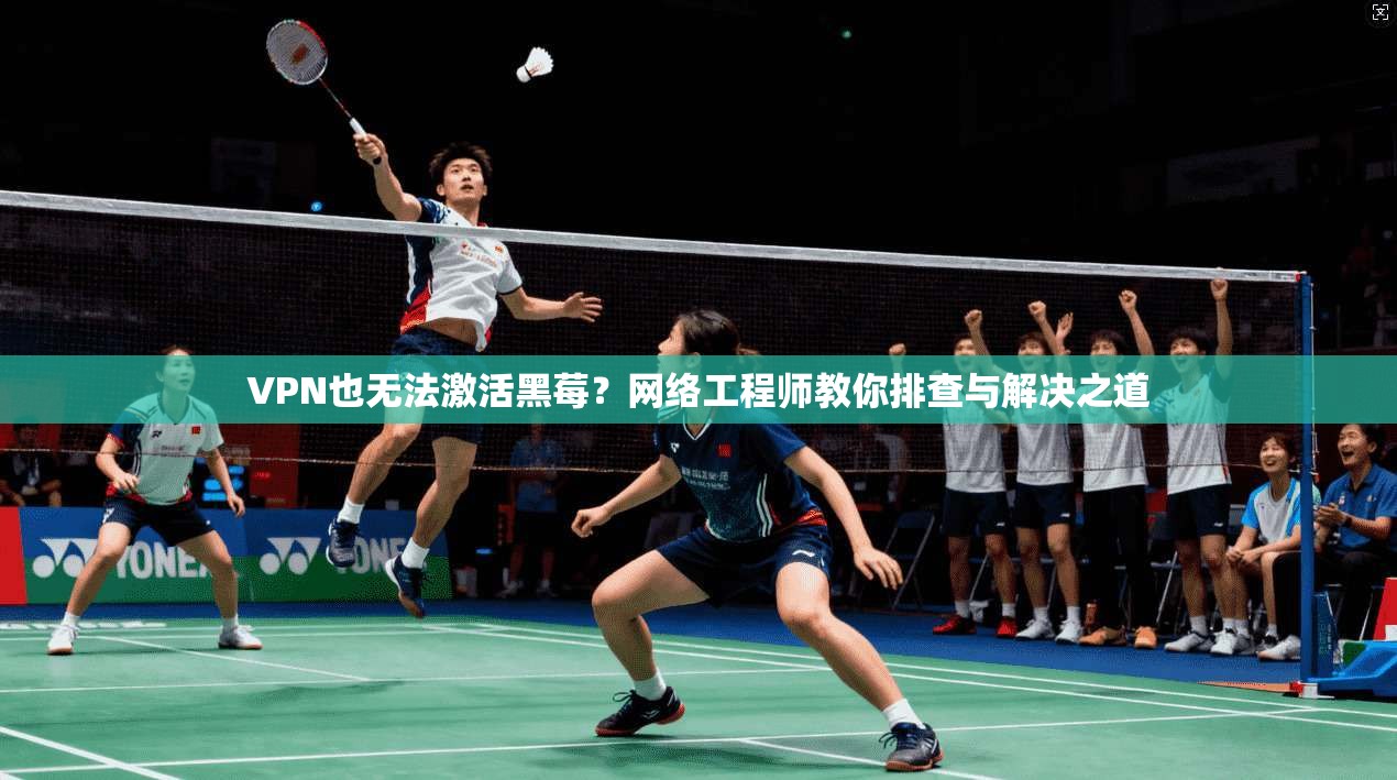 VPN也无法激活黑莓？网络工程师教你排查与解决之道