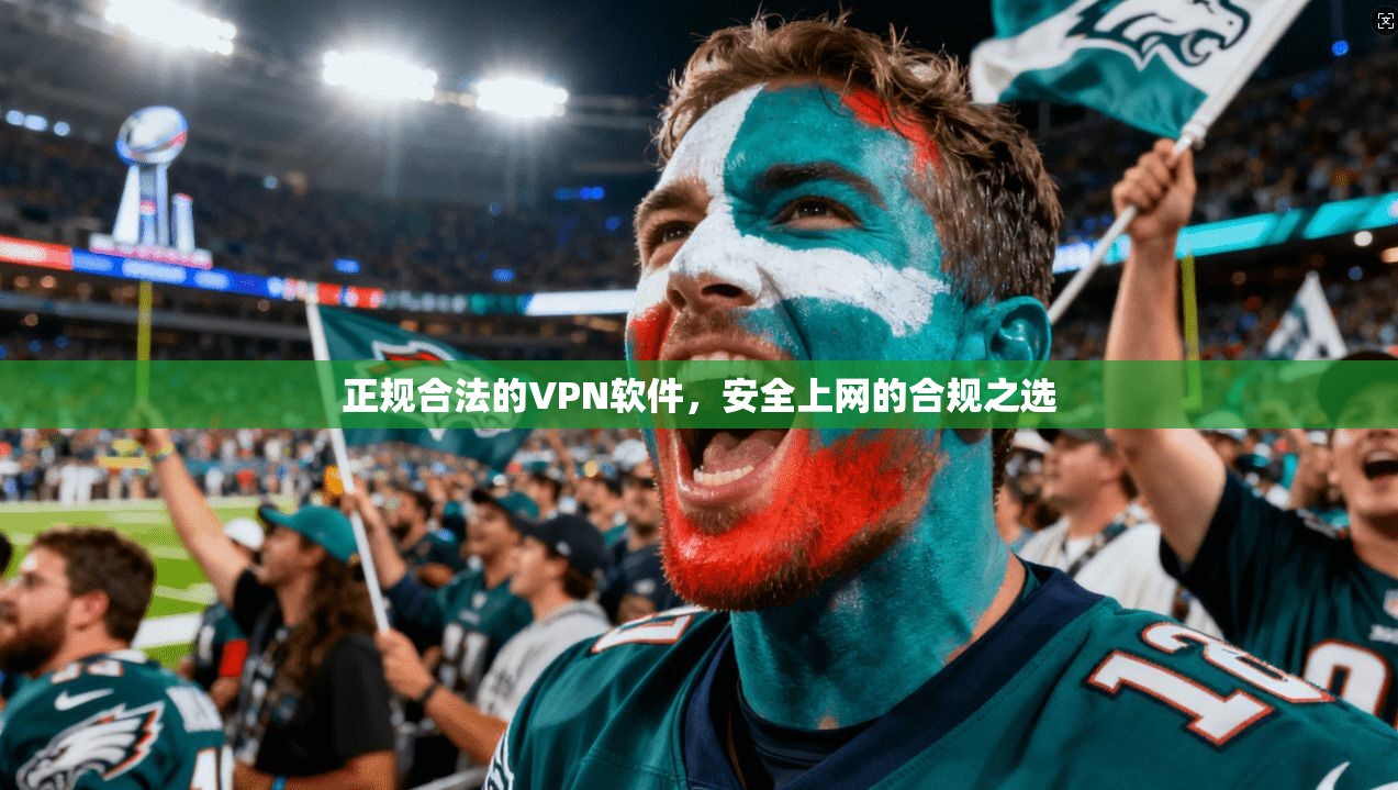 正规合法的VPN软件，安全上网的合规之选