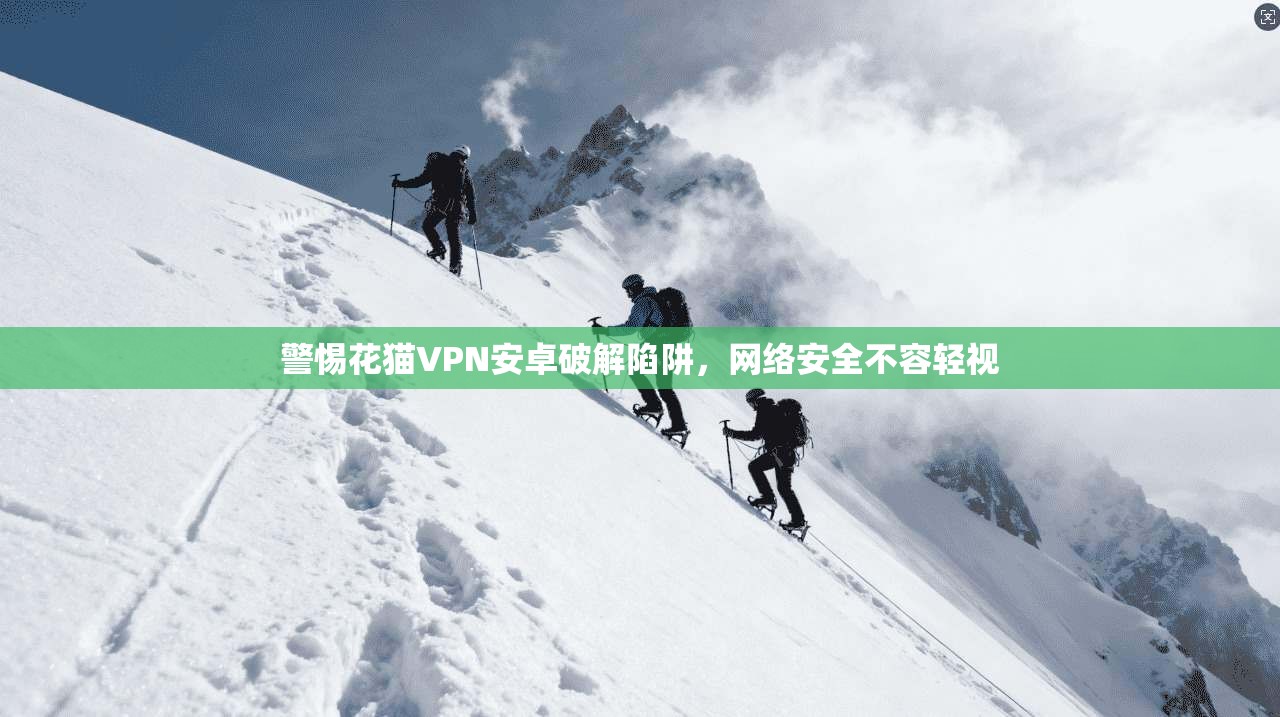 警惕花猫VPN安卓破解陷阱,网络安全不容轻视 警惕花猫VPN安卓破解陷阱,网络安全不容轻视