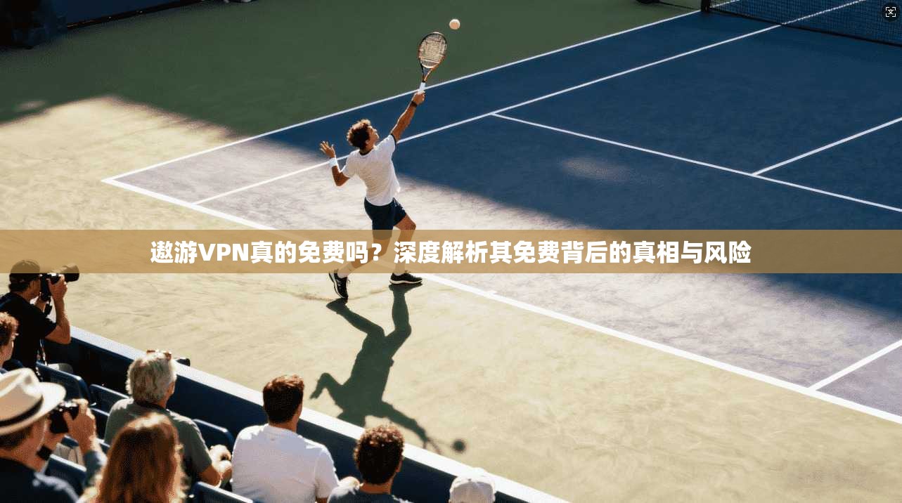遨游VPN真的免费吗？深度解析其免费背后的真相与风险