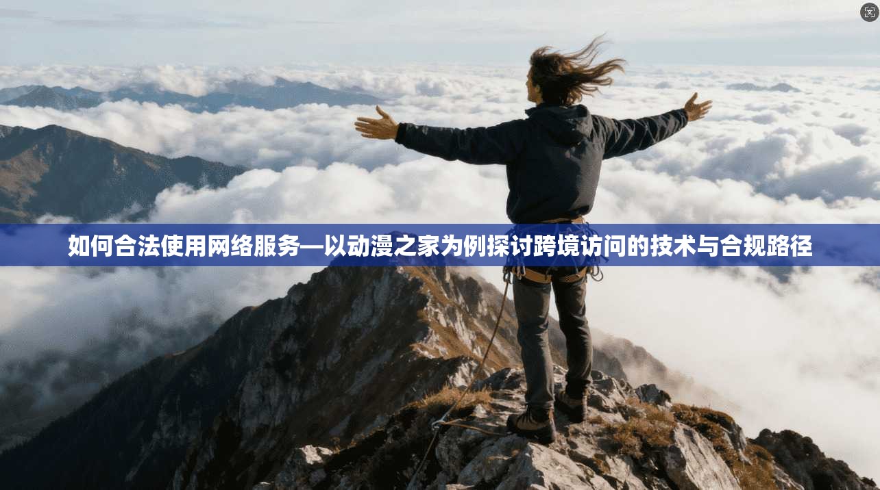 如何合法使用网络服务—以动漫之家为例探讨跨境访问的技术与合规路径
