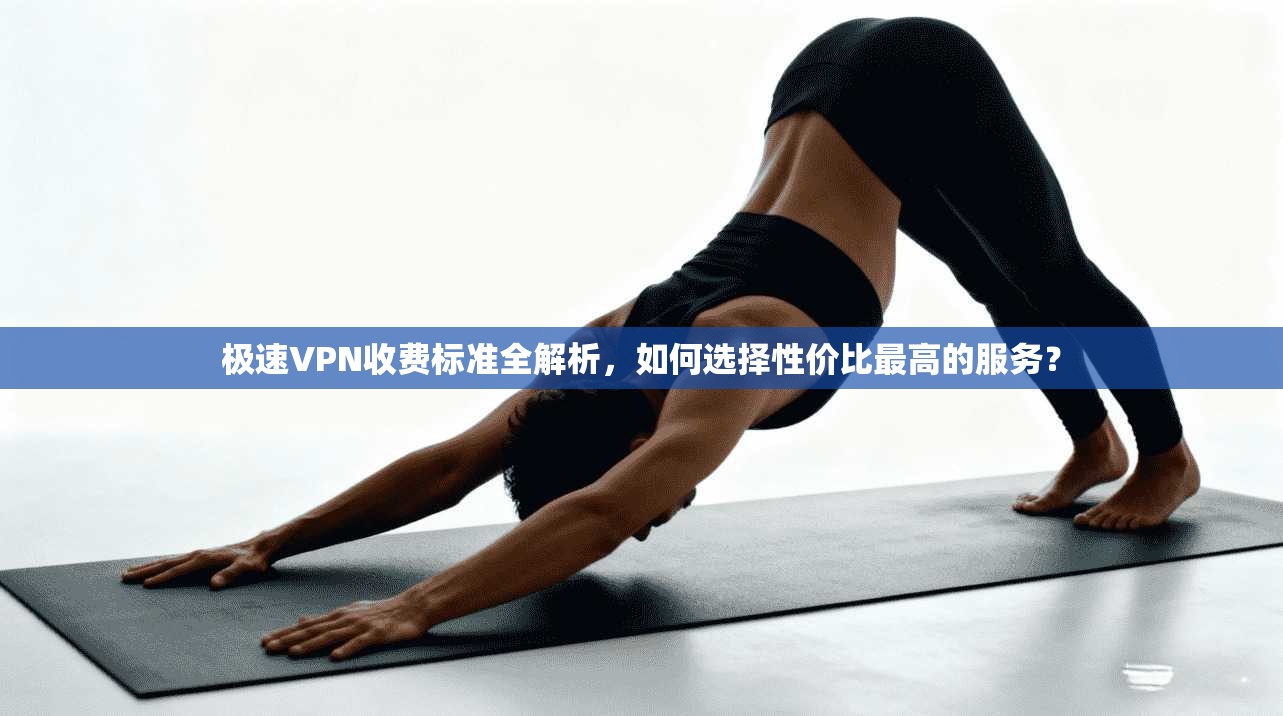极速VPN收费标准全解析，如何选择性价比最高的服务？