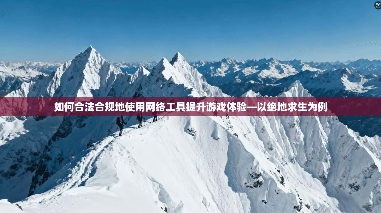如何合法合规地使用网络工具提升游戏体验—以绝地求生为例