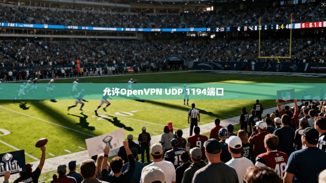 允许OpenVPN UDP 1194端口