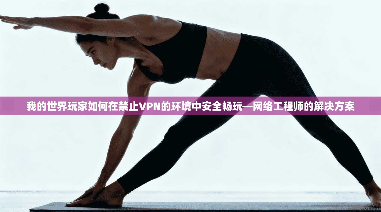 我的世界玩家如何在禁止VPN的环境中安全畅玩—网络工程师的解决方案