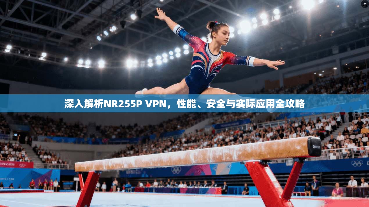 深入解析NR255P VPN，性能、安全与实际应用全攻略