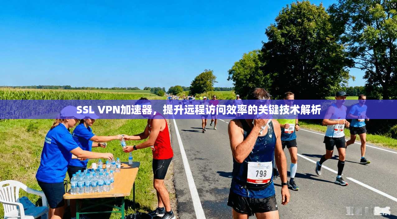 SSL VPN加速器，提升远程访问效率的关键技术解析