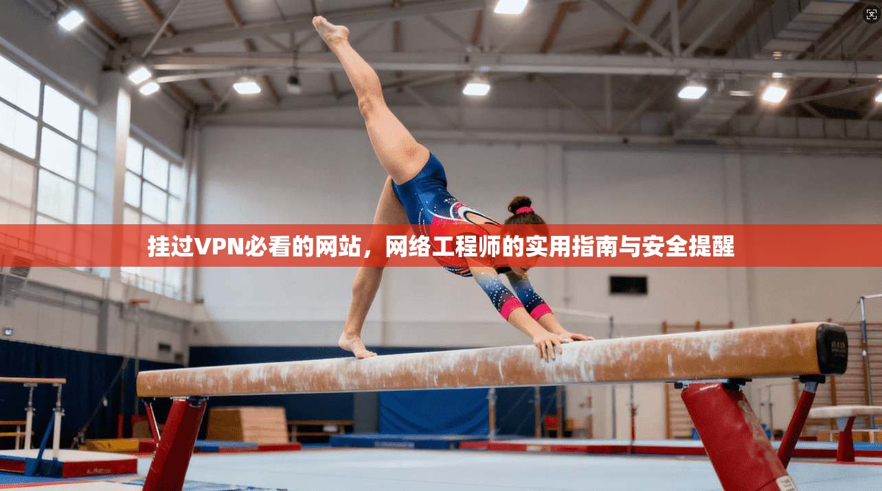 挂过VPN必看的网站,网络工程师的实用指南与安全提醒 挂过VPN必看的网站,网络工程师的实用指南与安全提醒