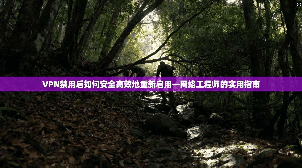 VPN禁用后如何安全高效地重新启用—网络工程师的实用指南