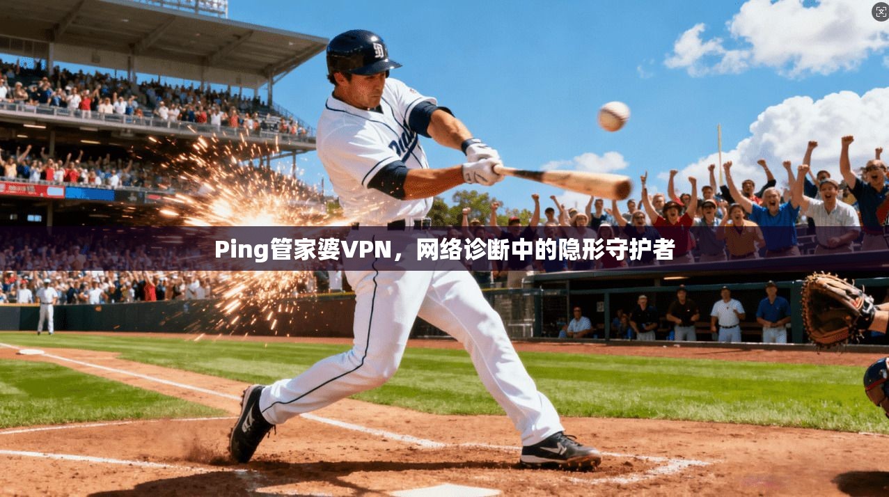 Ping管家婆VPN，网络诊断中的隐形守护者