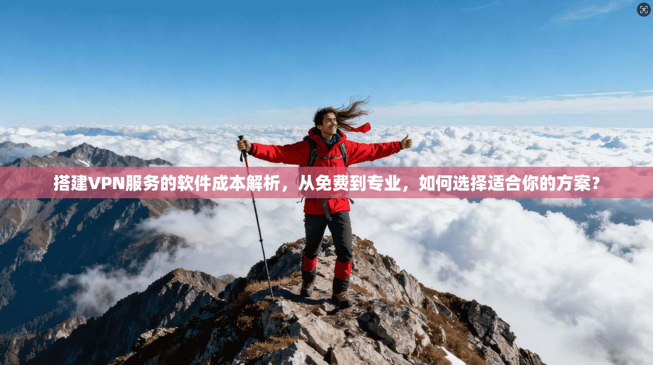 搭建VPN服务的软件成本解析,从免费到专业,如何选择适合你的方案? 搭建VPN服务的软件成本解析,从免费到专业,如何选择适合你的方案?