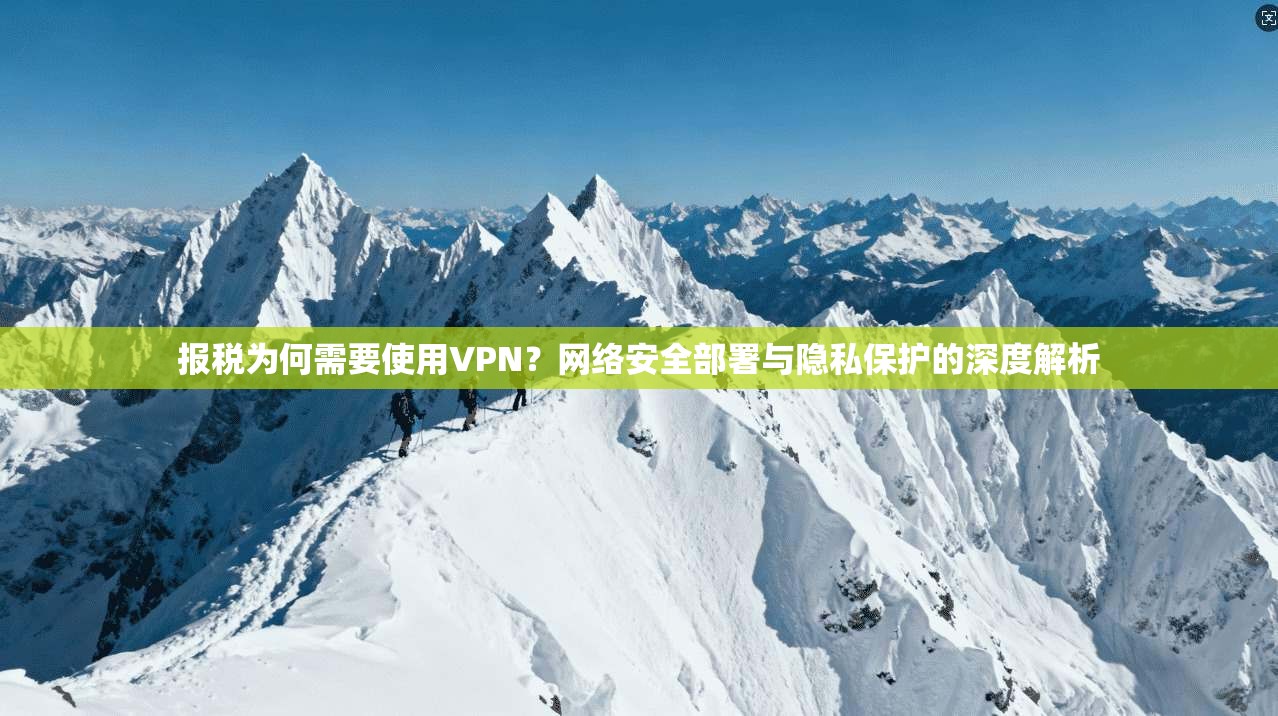 报税为何需要使用VPN？网络安全部署与隐私保护的深度解析