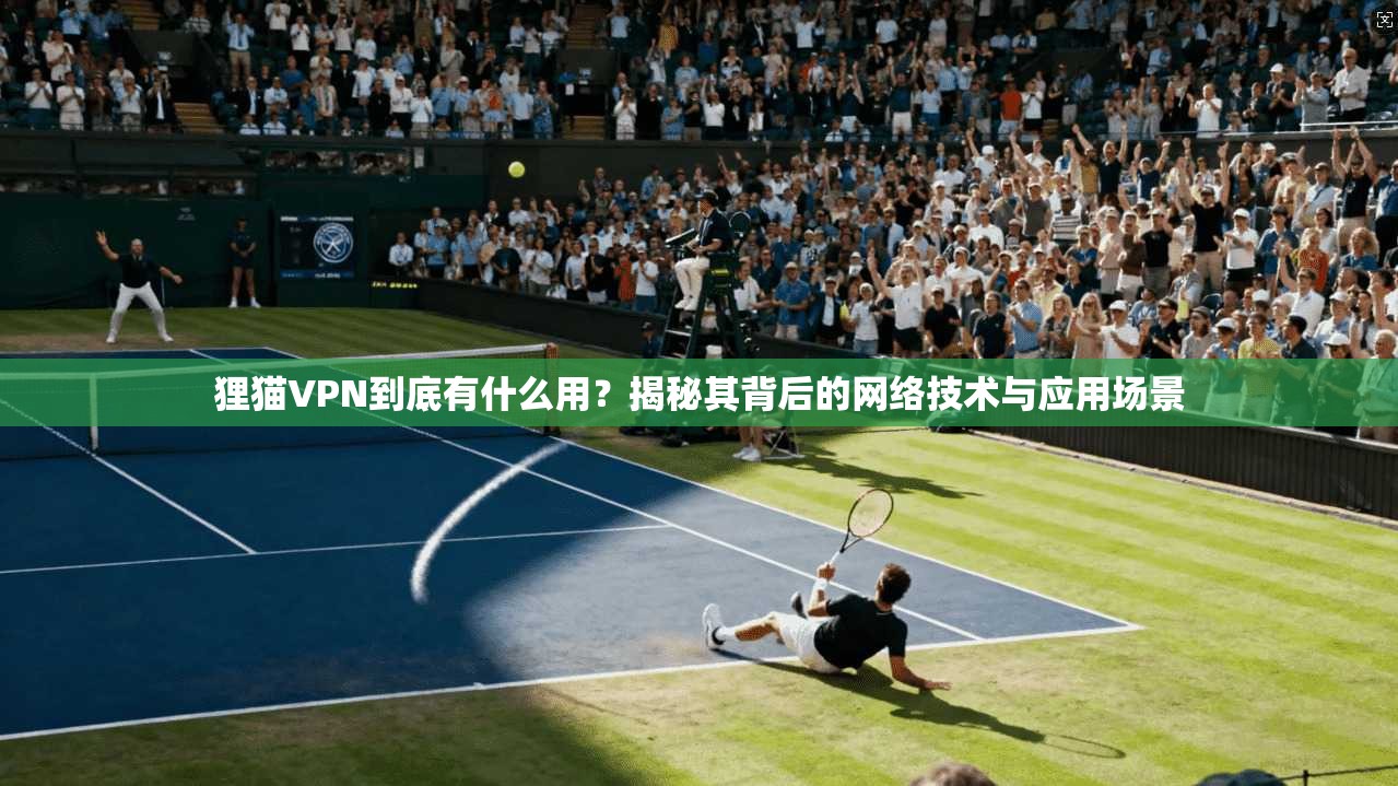 狸猫VPN到底有什么用?揭秘其背后的网络技术与应用场景 狸猫VPN到底有什么用?揭秘其背后的网络技术与应用场景