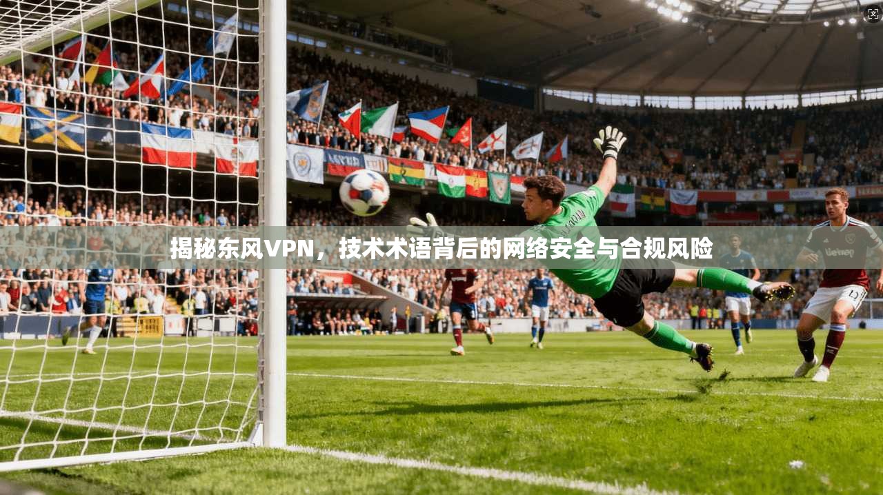 揭秘东风VPN，技术术语背后的网络安全与合规风险
