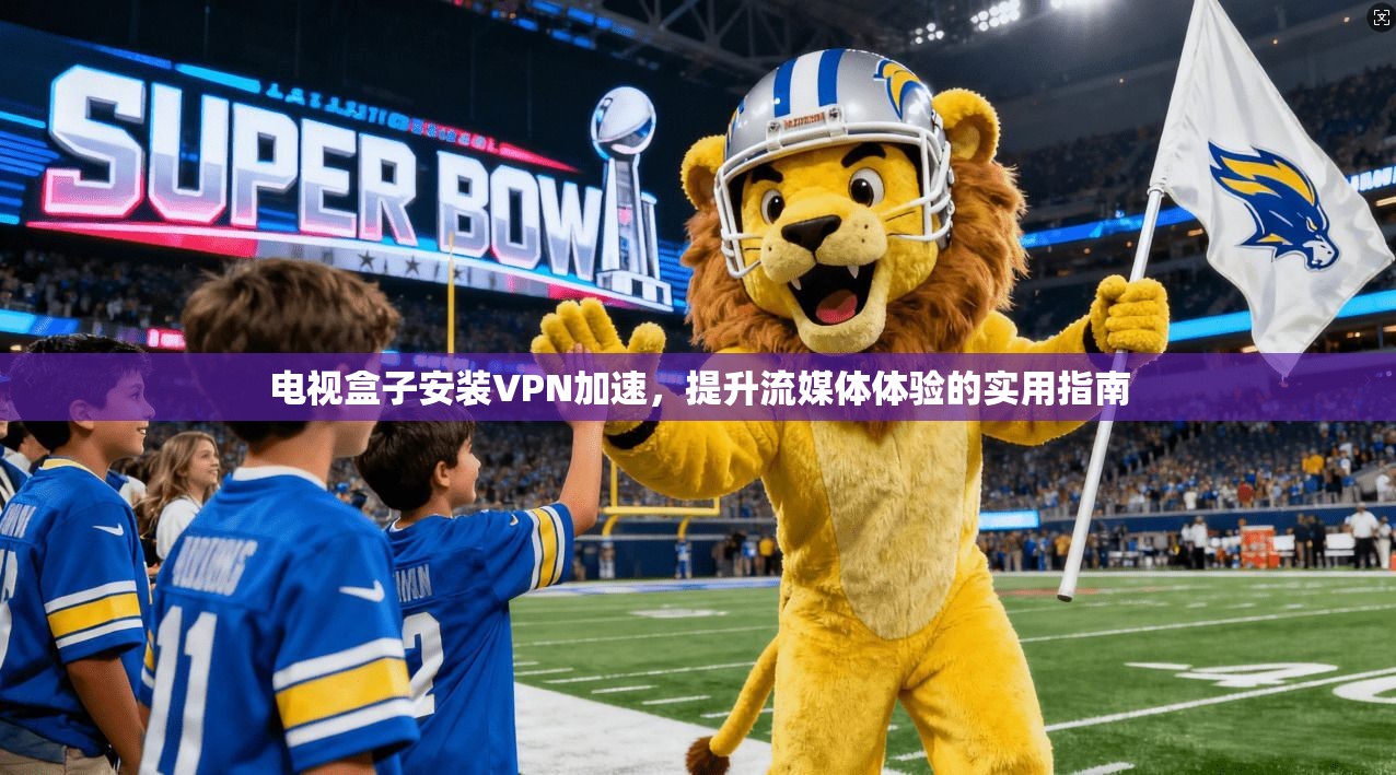电视盒子安装VPN加速，提升流媒体体验的实用指南