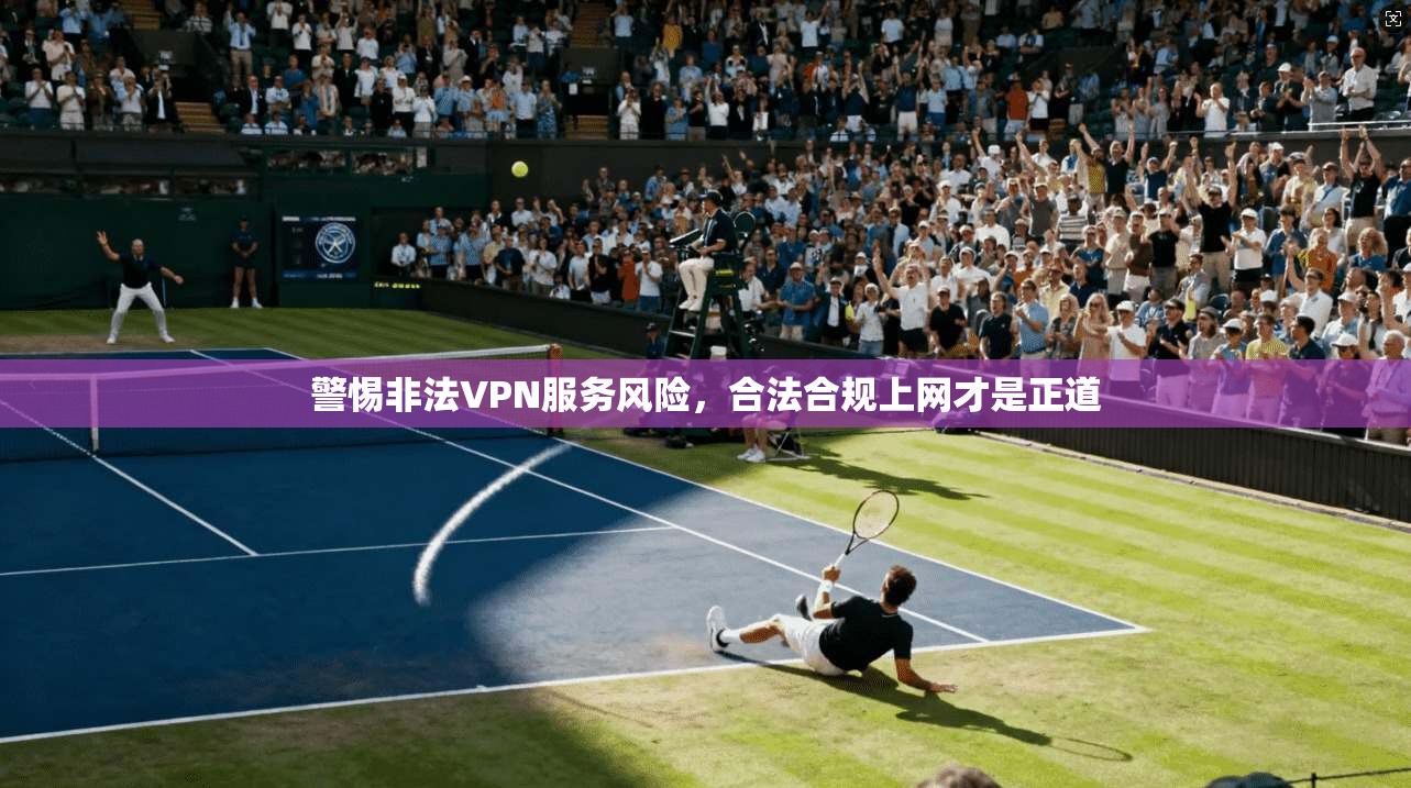 警惕非法VPN服务风险，合法合规上网才是正道