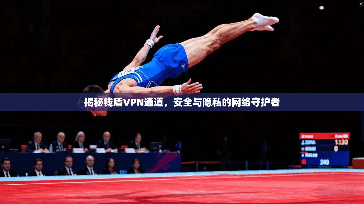 揭秘钱盾VPN通道,安全与隐私的网络守护者 揭秘钱盾VPN通道,安全与隐私的网络守护者