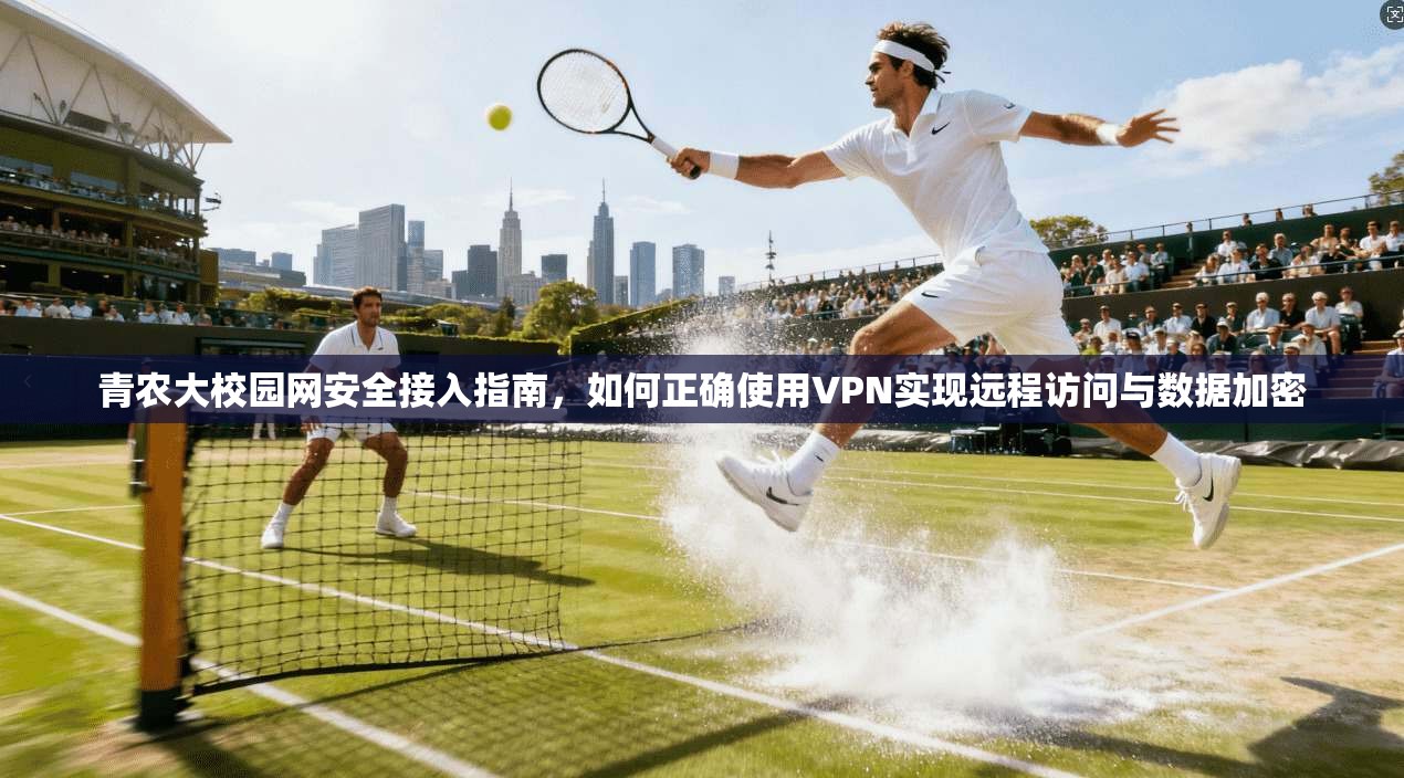青农大校园网安全接入指南,如何正确使用VPN实现远程访问与数据加密 青农大校园网安全接入指南,如何正确使用VPN实现远程访问与数据加密