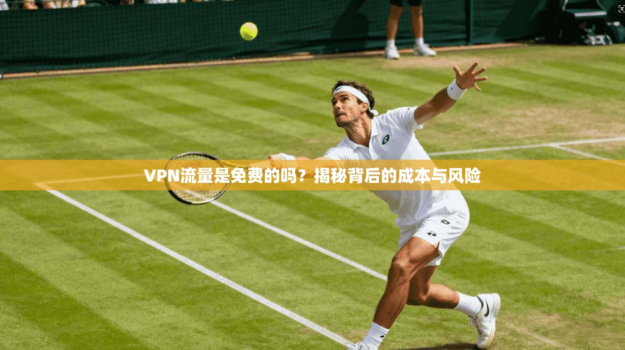 VPN流量是免费的吗？揭秘背后的成本与风险