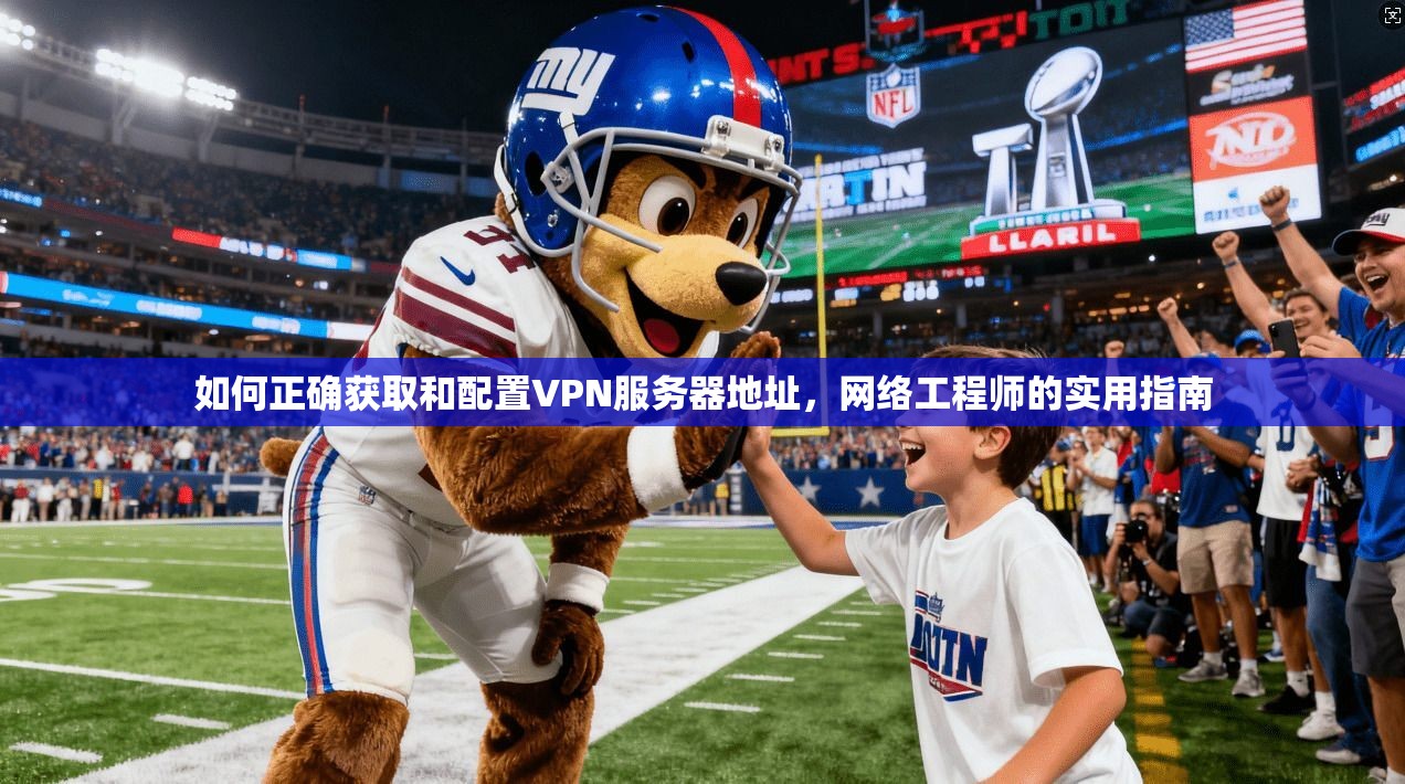 如何正确获取和配置VPN服务器地址，网络工程师的实用指南