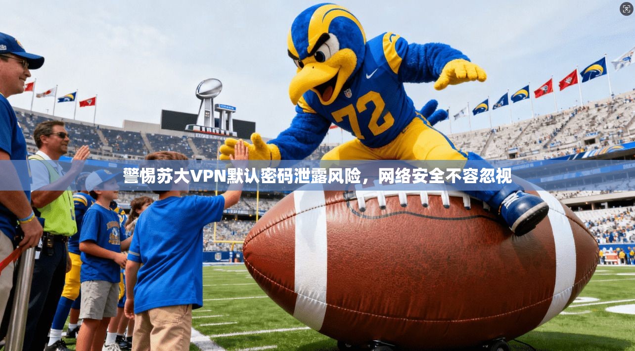 警惕苏大VPN默认密码泄露风险，网络安全不容忽视