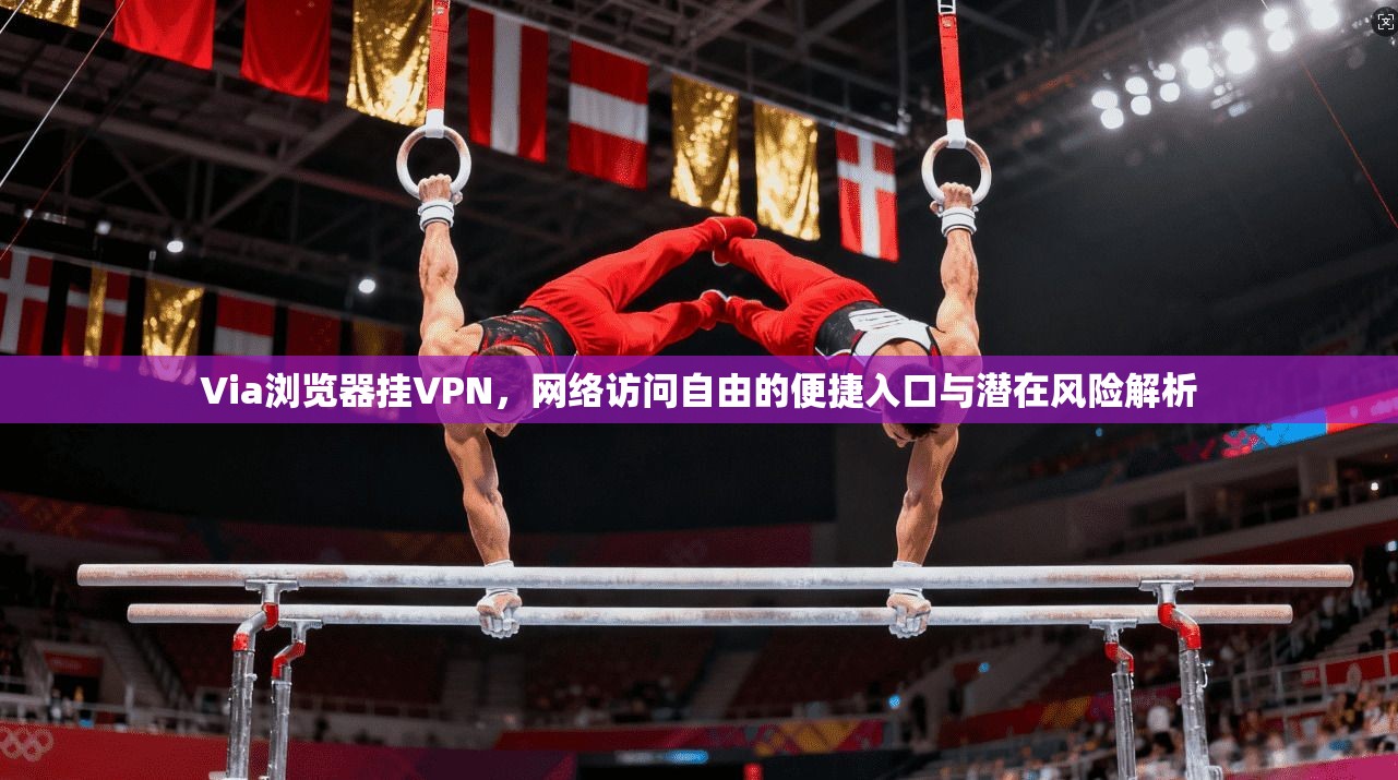 Via浏览器挂VPN，网络访问自由的便捷入口与潜在风险解析