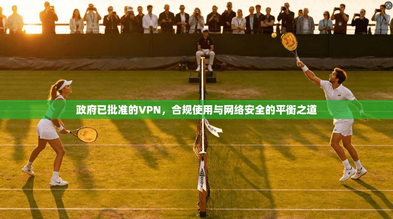 政府已批准的VPN，合规使用与网络安全的平衡之道