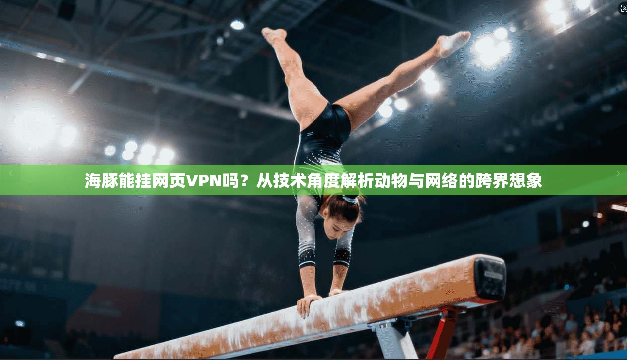 海豚能挂网页VPN吗？从技术角度解析动物与网络的跨界想象