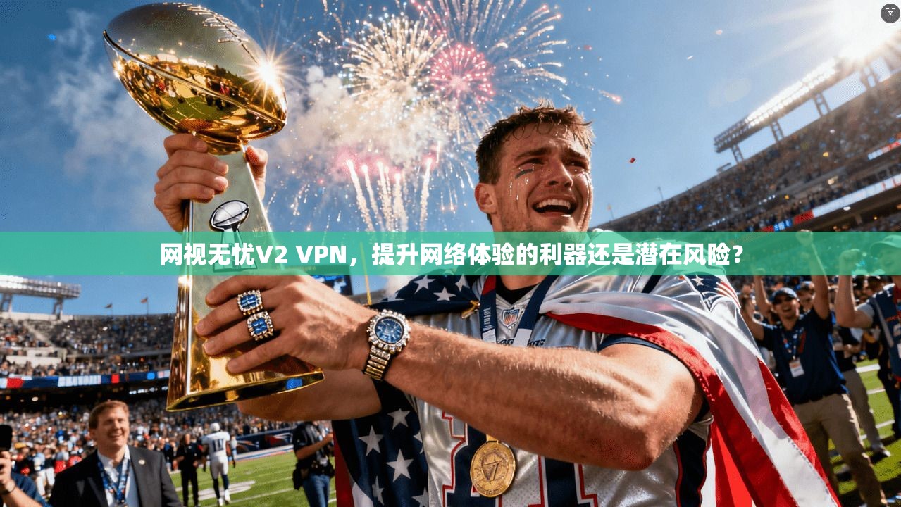网视无忧V2 VPN，提升网络体验的利器还是潜在风险？