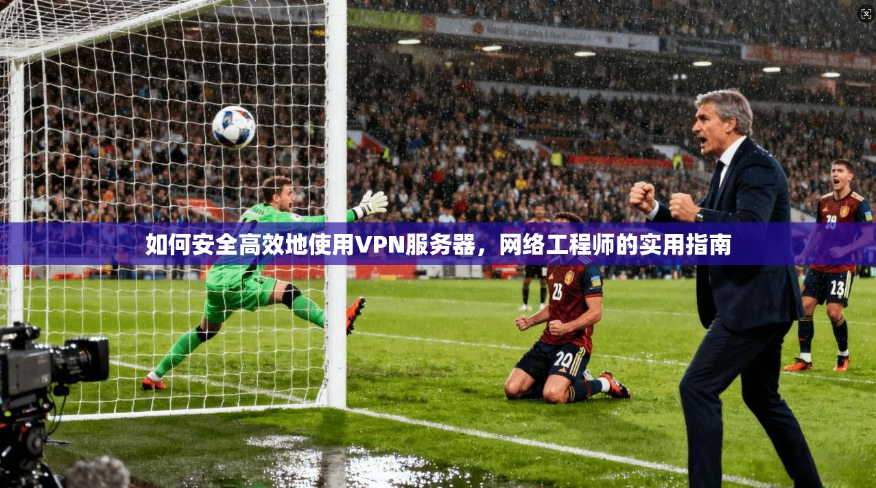 如何安全高效地使用VPN服务器，网络工程师的实用指南