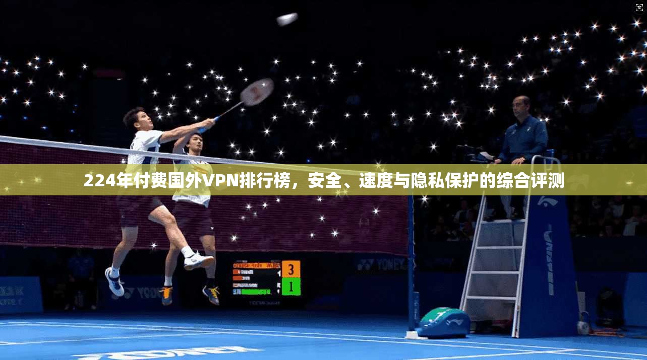 224年付费国外VPN排行榜，安全、速度与隐私保护的综合评测
