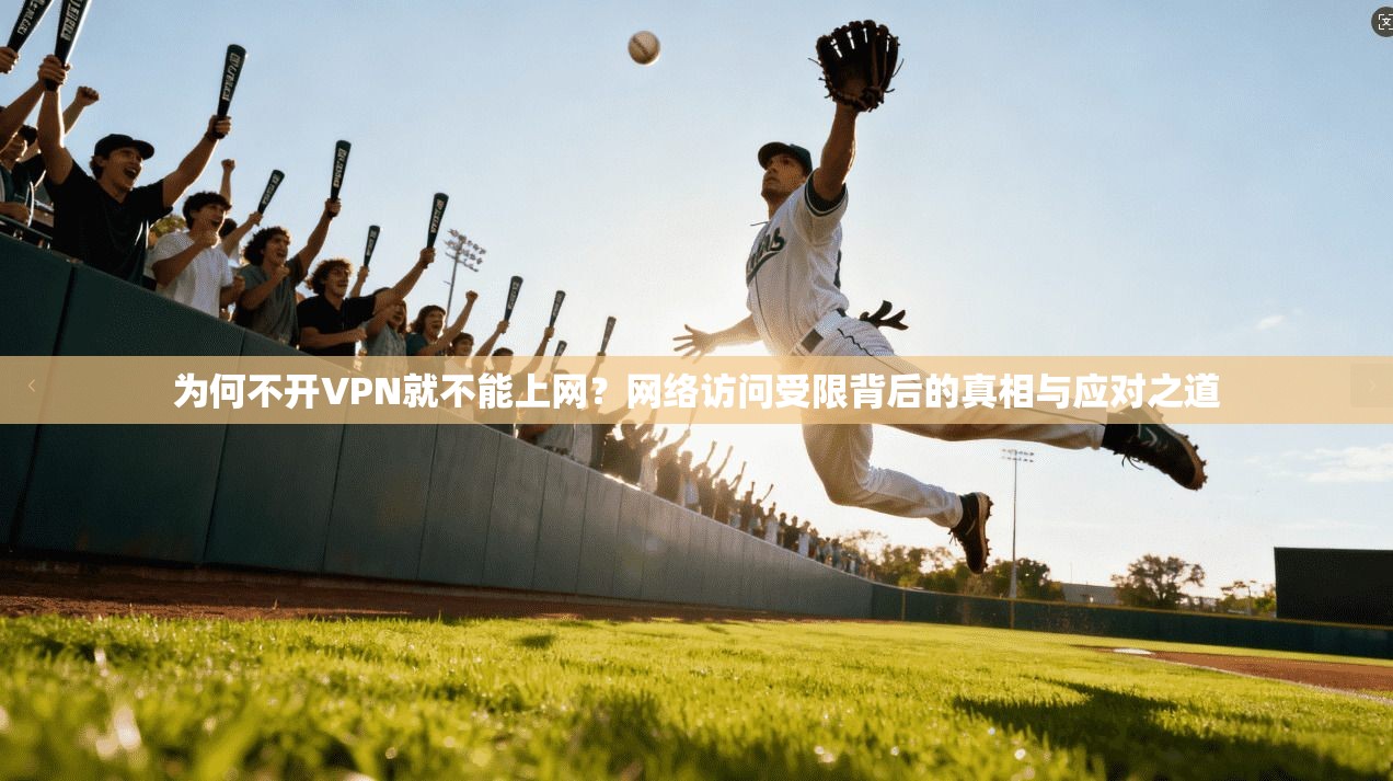 为何不开VPN就不能上网?网络访问受限背后的真相与应对之道 为何不开VPN就不能上网?网络访问受限背后的真相与应对之道