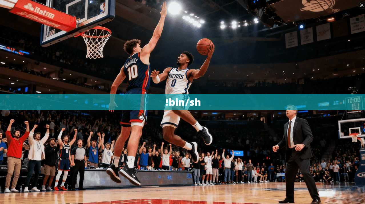 !bin/sh