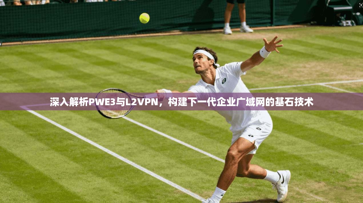 深入解析PWE3与L2VPN，构建下一代企业广域网的基石技术