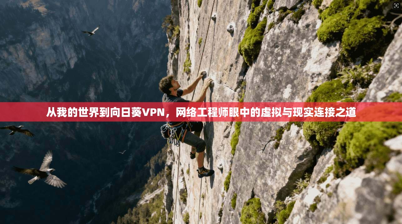 从我的世界到向日葵VPN，网络工程师眼中的虚拟与现实连接之道
