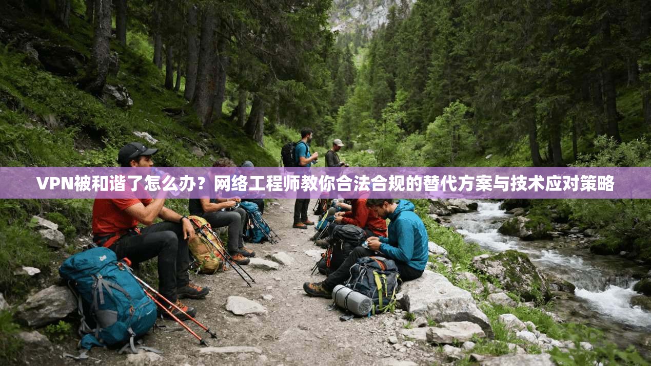 VPN被和谐了怎么办？网络工程师教你合法合规的替代方案与技术应对策略