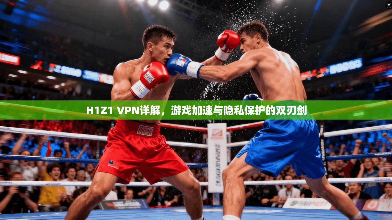 H1Z1 VPN详解，游戏加速与隐私保护的双刃剑