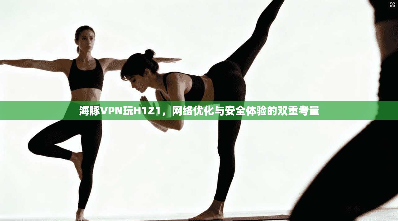 海豚VPN玩H1Z1,网络优化与安全体验的双重考量 海豚VPN玩H1Z1,网络优化与安全体验的双重考量