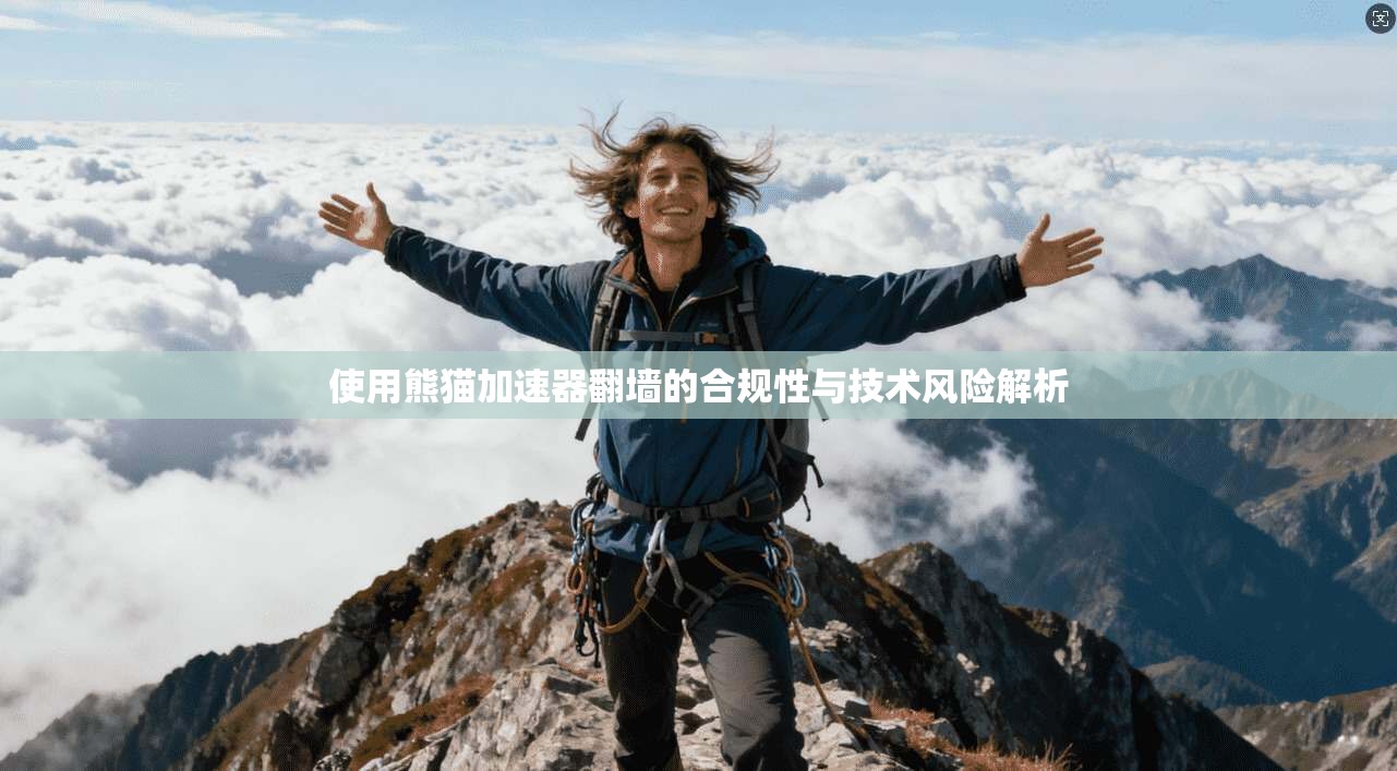 使用熊猫加速器翻墙的合规性与技术风险解析