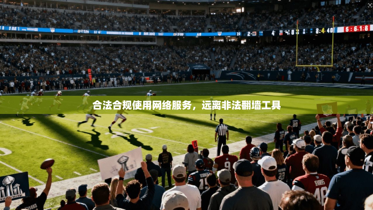 合法合规使用网络服务,远离非法翻墙工具 合法合规使用网络服务,远离非法翻墙工具