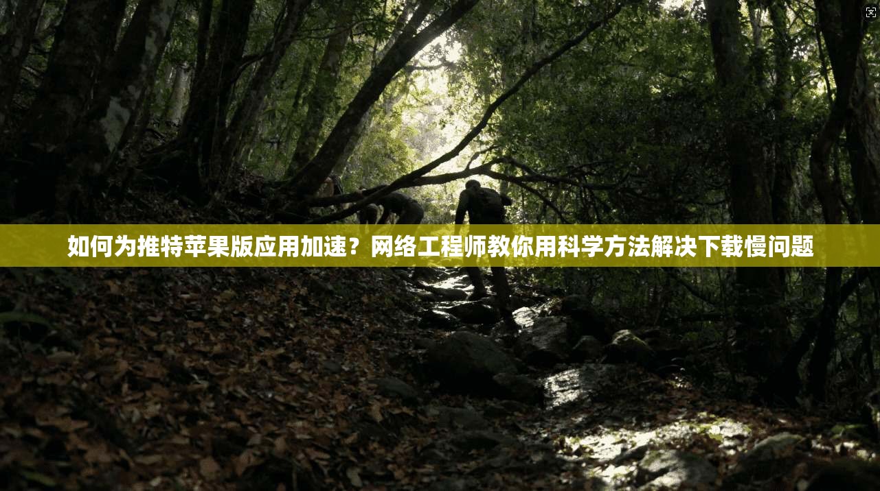 如何为推特苹果版应用加速?网络工程师教你用科学方法解决下载慢问题 如何为推特苹果版应用加速?网络工程师教你用科学方法解决下载慢问题