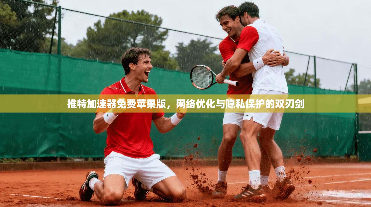 推特加速器免费苹果版，网络优化与隐私保护的双刃剑
