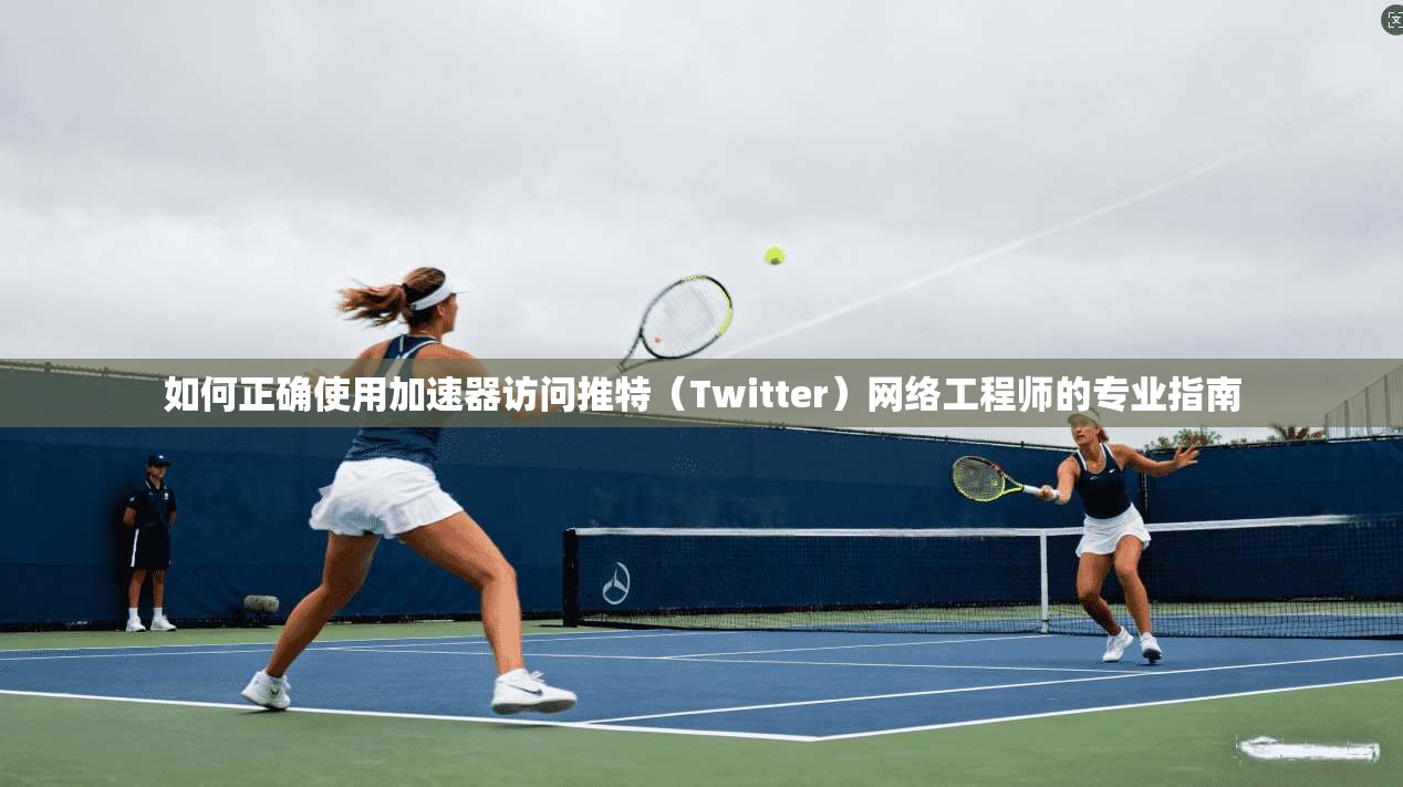 如何正确使用加速器访问推特（Twitter）网络工程师的专业指南