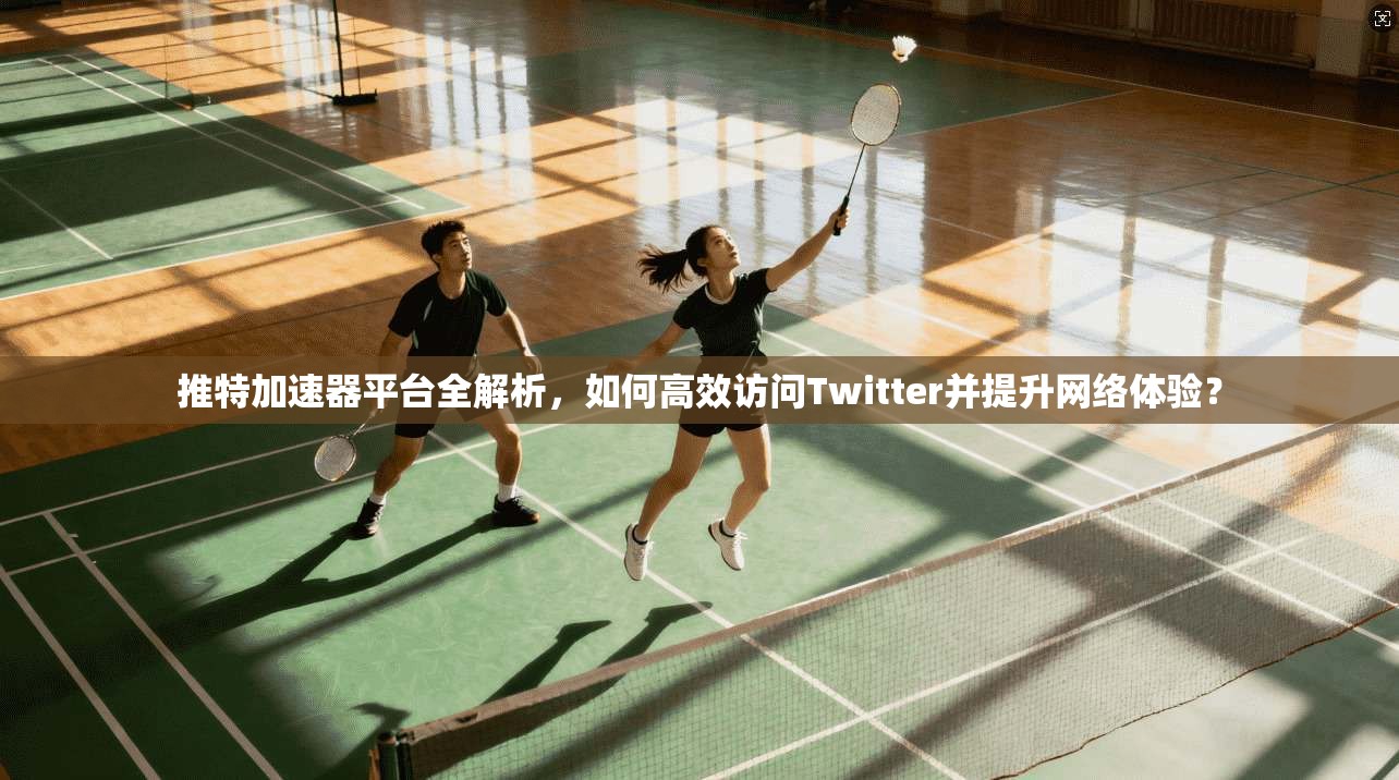 推特加速器平台全解析，如何高效访问Twitter并提升网络体验？