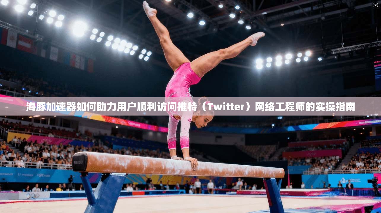 海豚加速器如何助力用户顺利访问推特（Twitter）网络工程师的实操指南