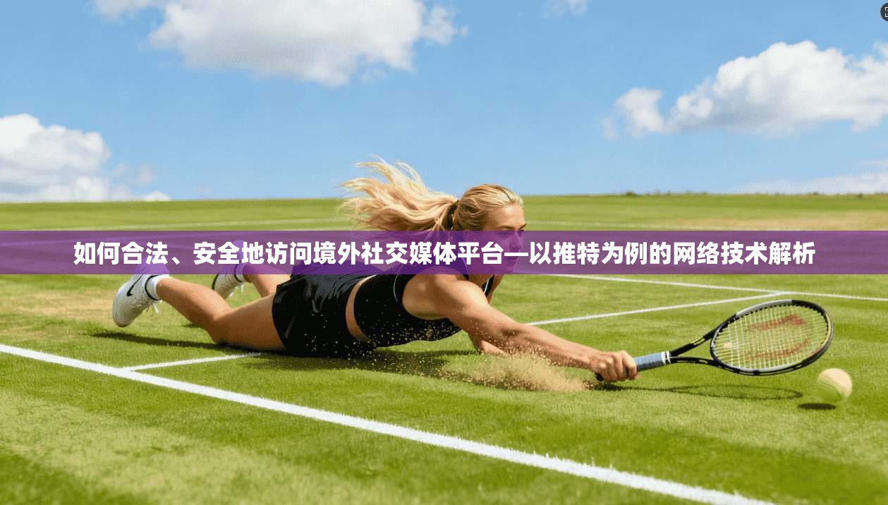 如何合法、安全地访问境外社交媒体平台—以推特为例的网络技术解析