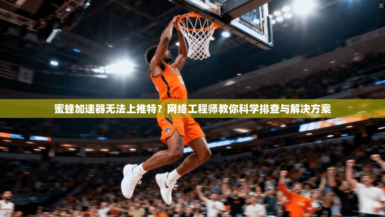 蜜蜂加速器无法上推特？网络工程师教你科学排查与解决方案